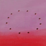 Migaru - 2009 - 55x72 cm